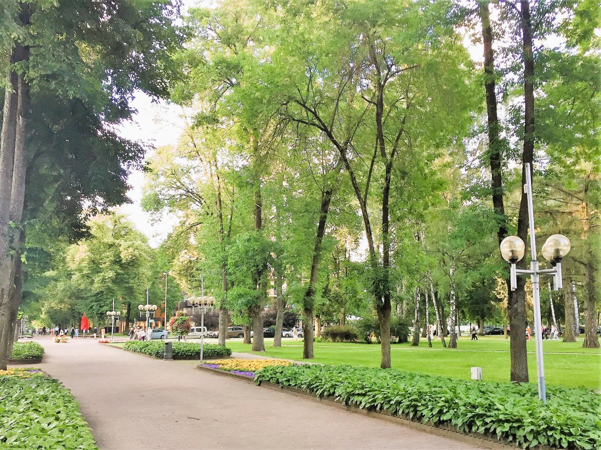 Apartment In The City Center Druskininkai Ngoại thất bức ảnh